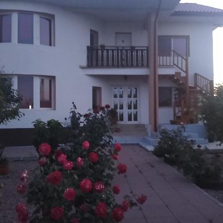 Casa Doina 호텔 Douăzeci şi Trei August 외부 사진