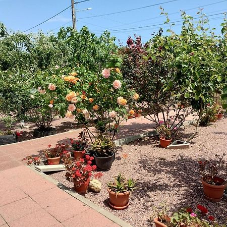 Casa Doina 호텔 Douăzeci şi Trei August 외부 사진