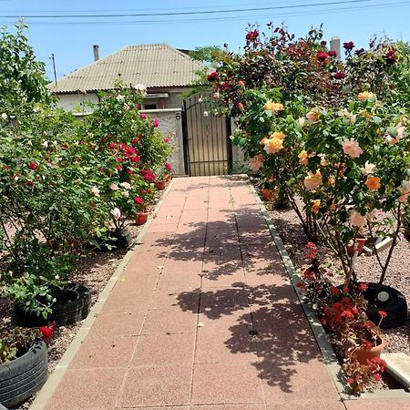 Casa Doina 호텔 Douăzeci şi Trei August 외부 사진