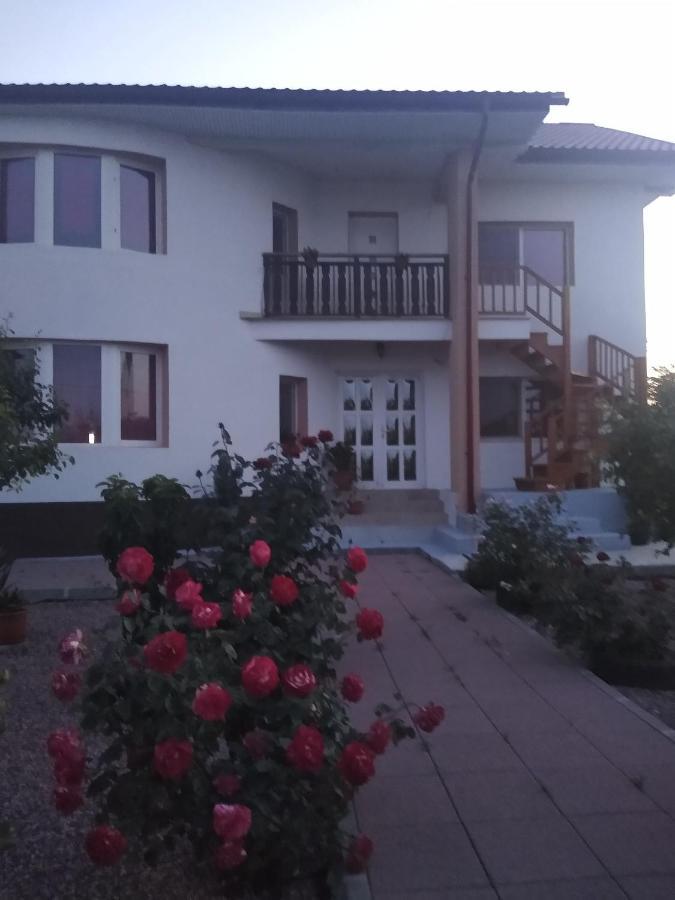 Casa Doina 호텔 Douăzeci şi Trei August 외부 사진