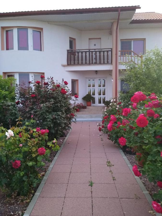 Casa Doina 호텔 Douăzeci şi Trei August 외부 사진