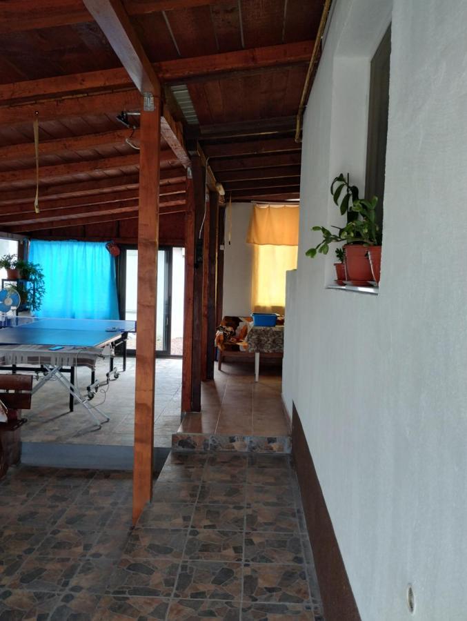 Casa Doina 호텔 Douăzeci şi Trei August 외부 사진