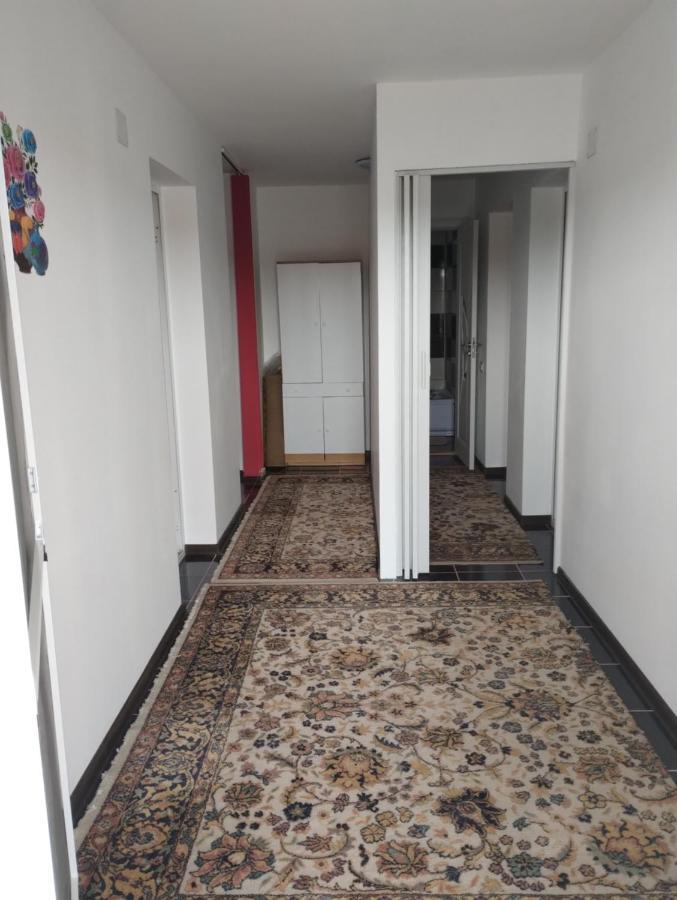 Casa Doina 호텔 Douăzeci şi Trei August 외부 사진