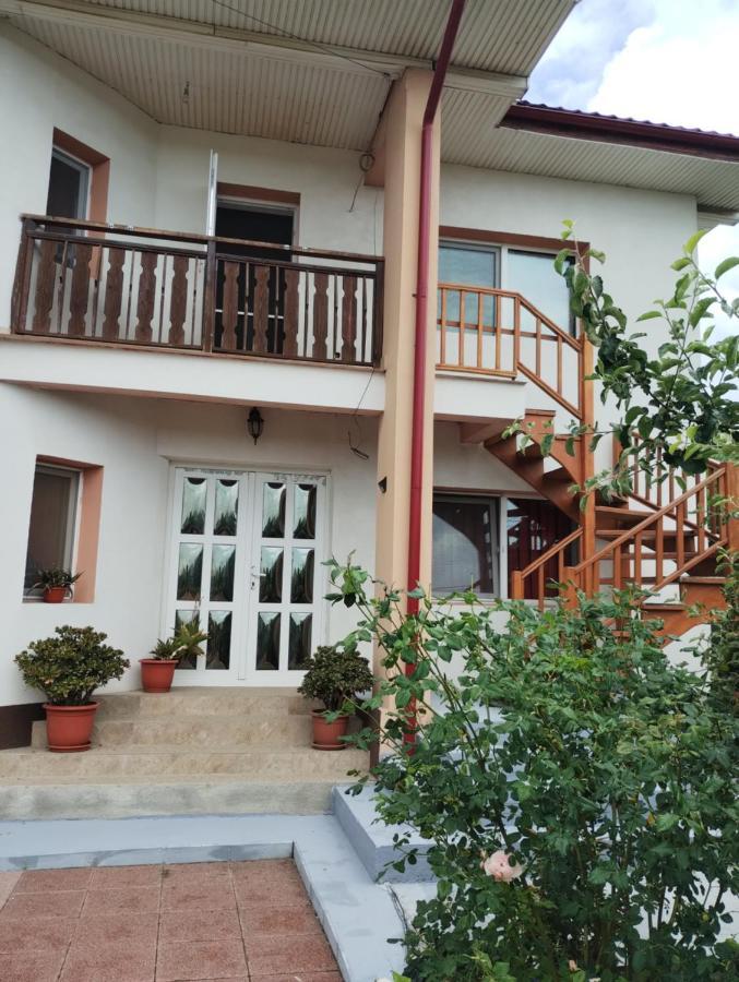 Casa Doina 호텔 Douăzeci şi Trei August 외부 사진