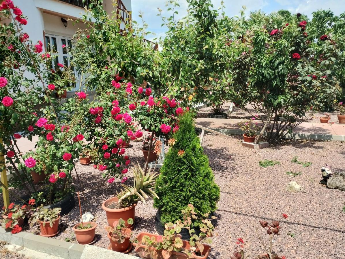 Casa Doina 호텔 Douăzeci şi Trei August 외부 사진