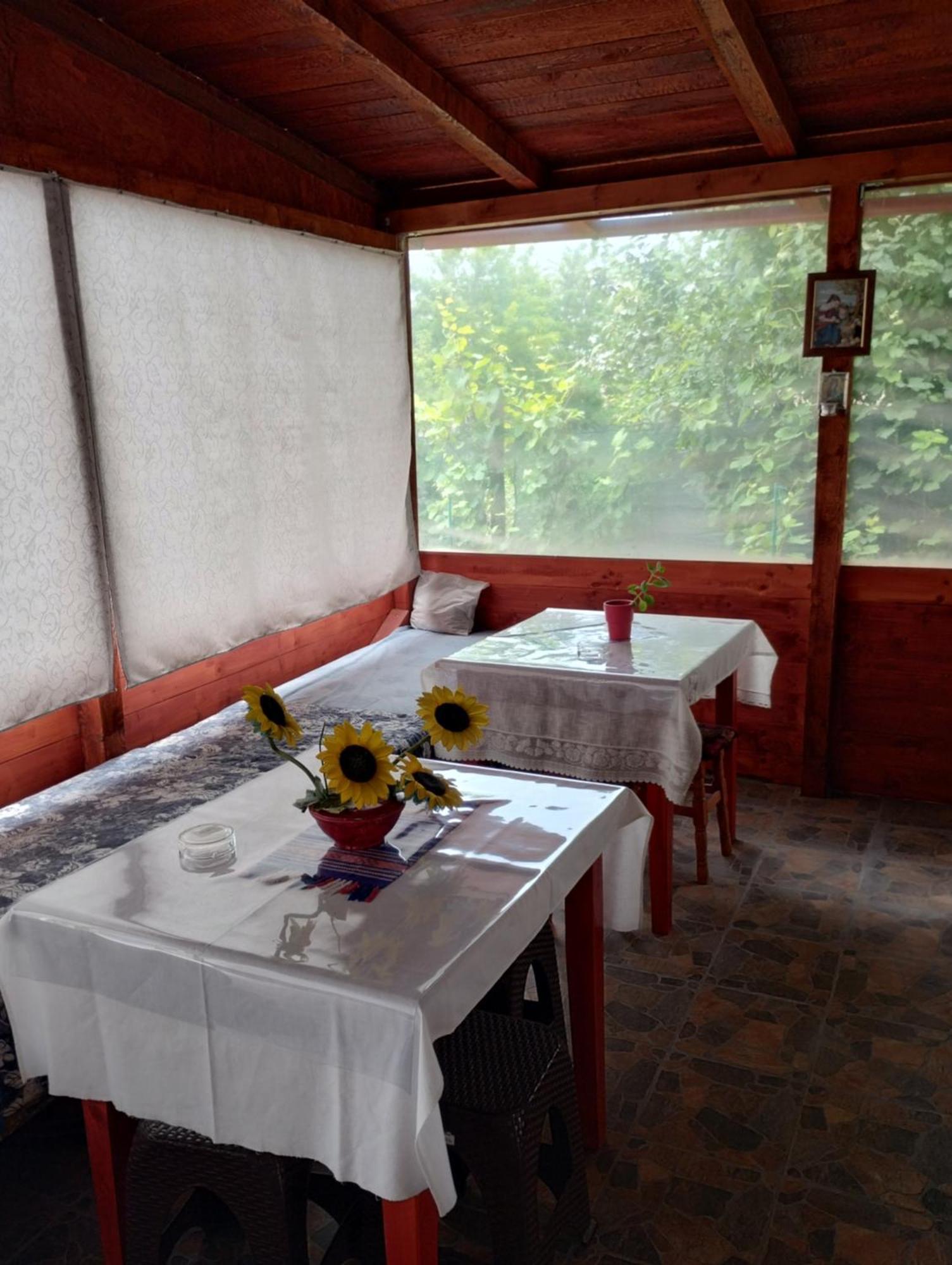 Casa Doina 호텔 Douăzeci şi Trei August 외부 사진