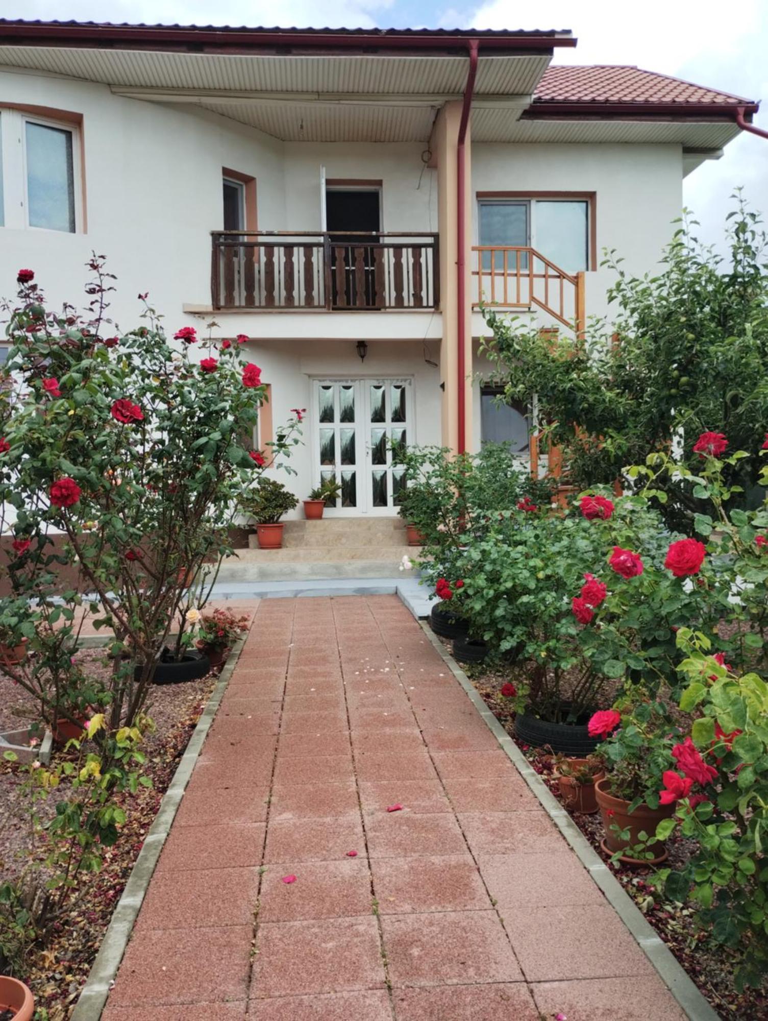Casa Doina 호텔 Douăzeci şi Trei August 외부 사진